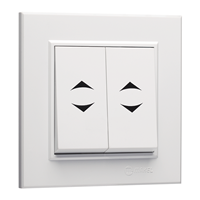 Double Two-Way Switch