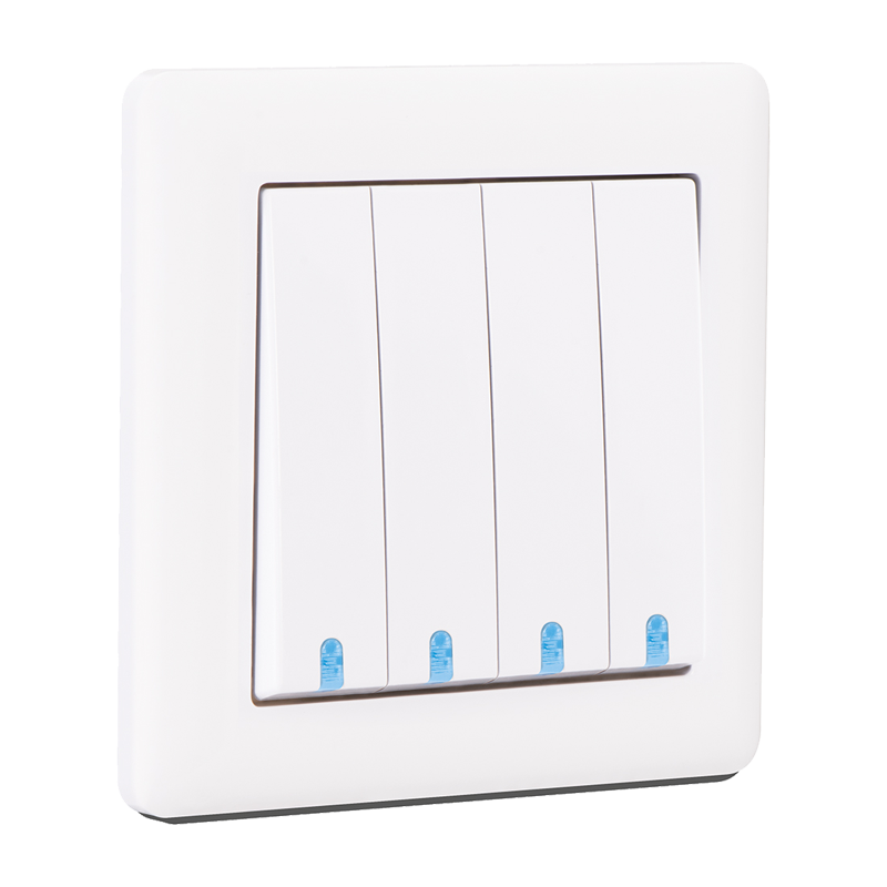 4G 2 Way Change-Over Switch Illuminated