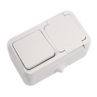 Dual Moist Environment Switch+Earthed Socket-Outlet with Lid